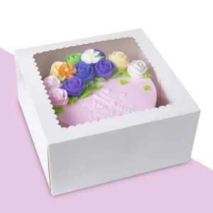 Large Cake Box-1